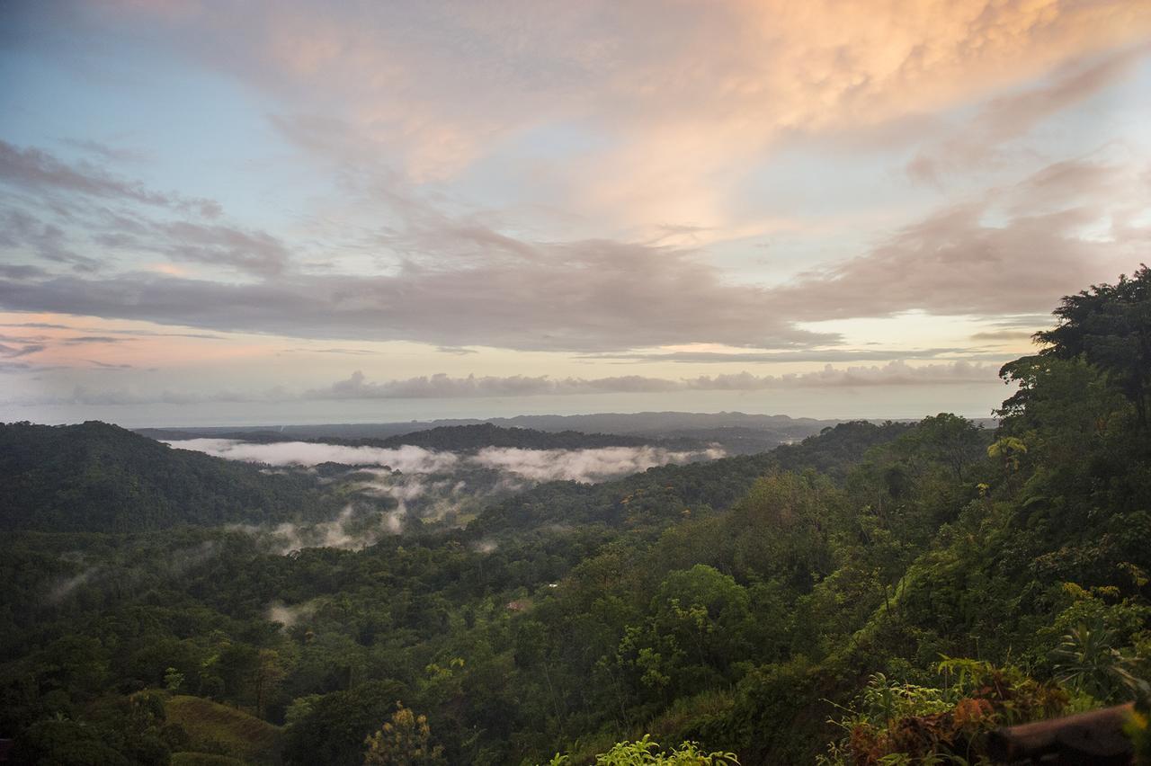 Santa Juana Lodge & Nature Reserve Quepos Esterno foto
